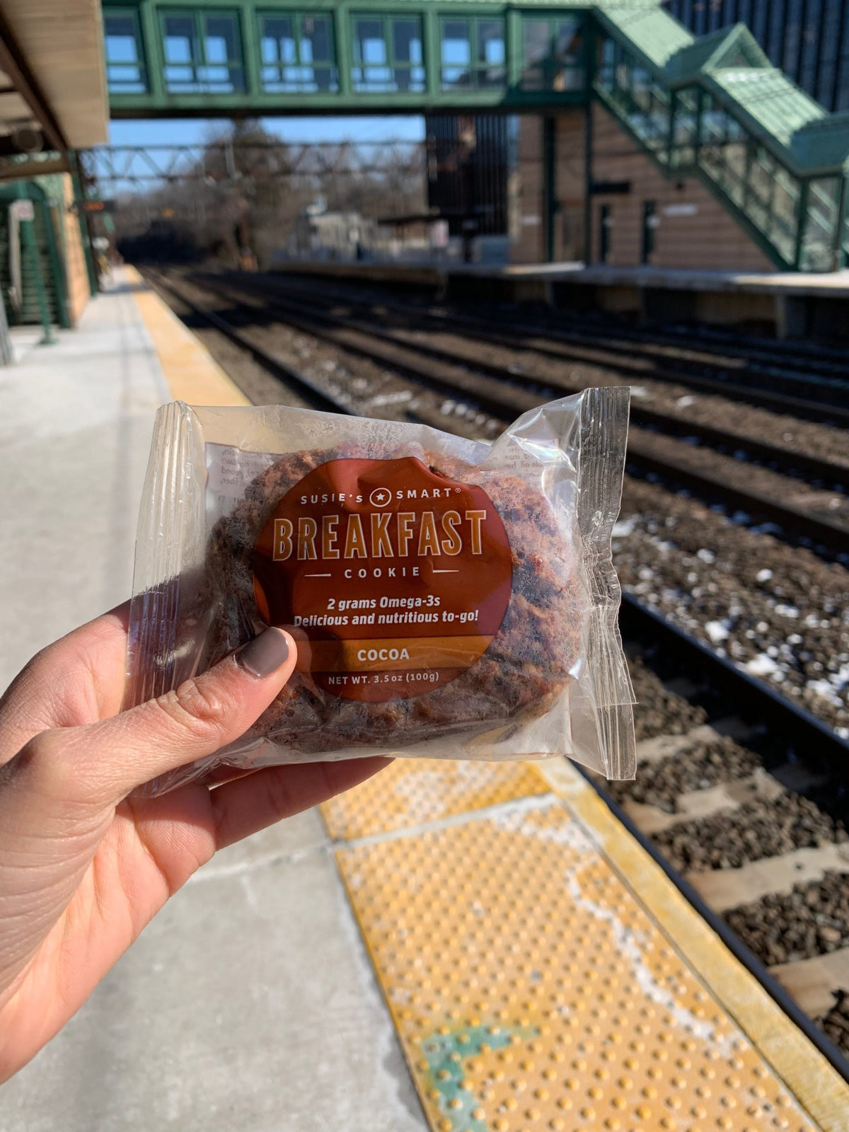 Susie's Smart Breakfast Cookies 853140002065