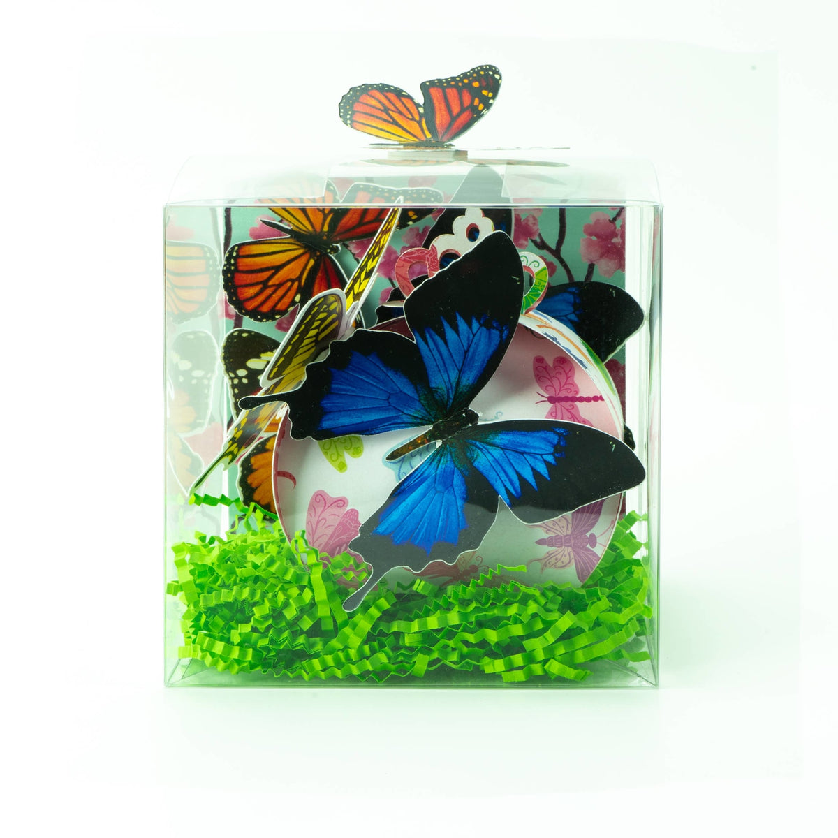 Beautiful Butterflies Celebration Box, By Chandelier Cards