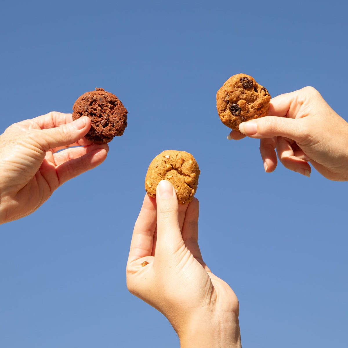 Double Chocolate Cookie Multipack 10152