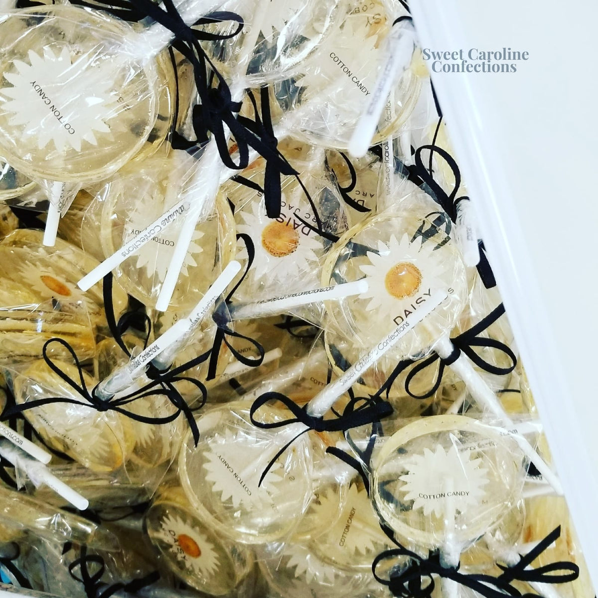 Daisy and Gold Lollipops, Mandarin Orange, 10/Case - VEGAN 00006