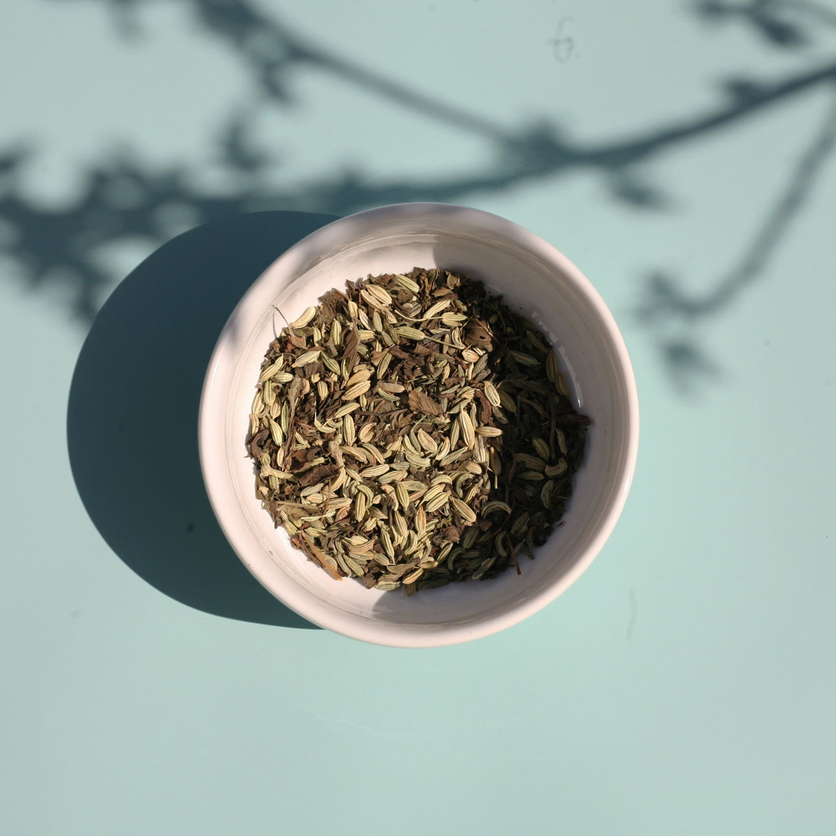 Sweet Fennel and Mint 00011