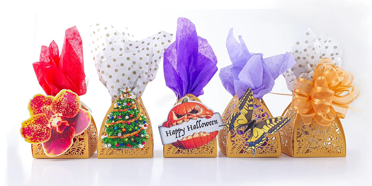 Butterflies! Chocolate Delight Box