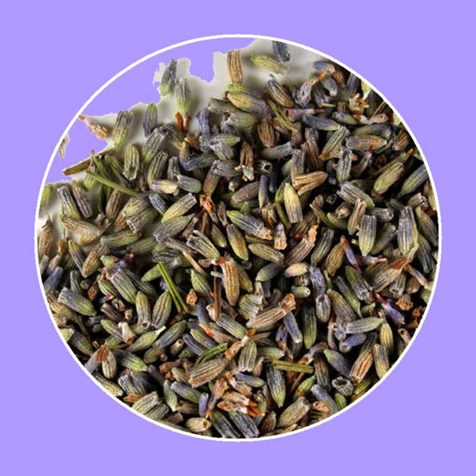 Guga Tea Lavender Flower Tea - Whole Flower - 0.6 oz