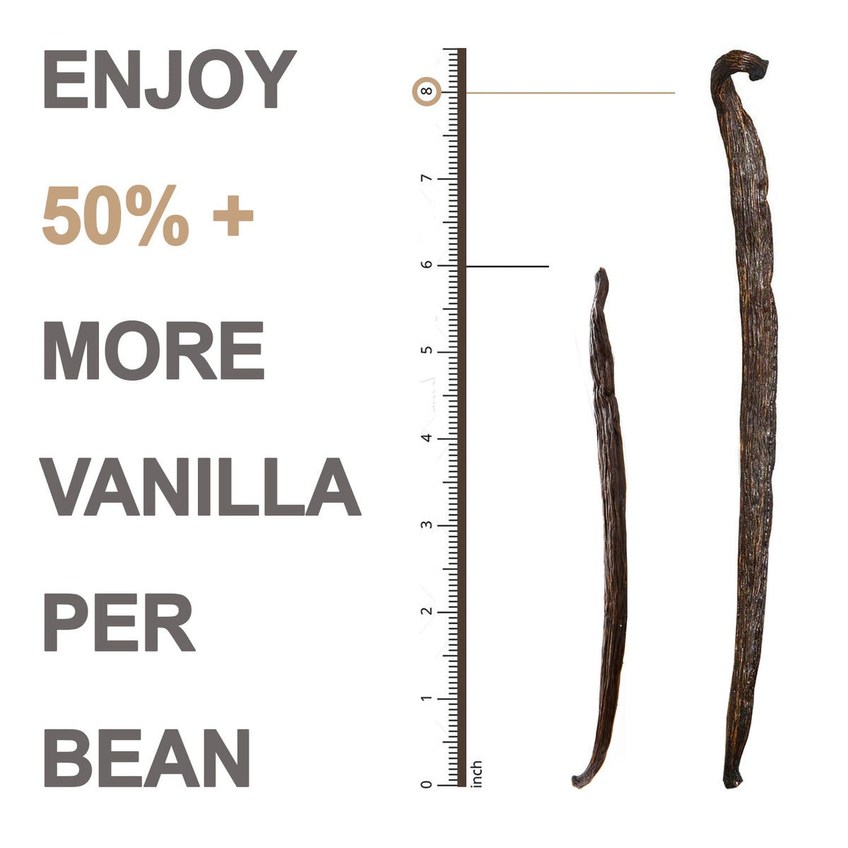Vanilla Beans (Grade A Gourmet) Ecspice3-5