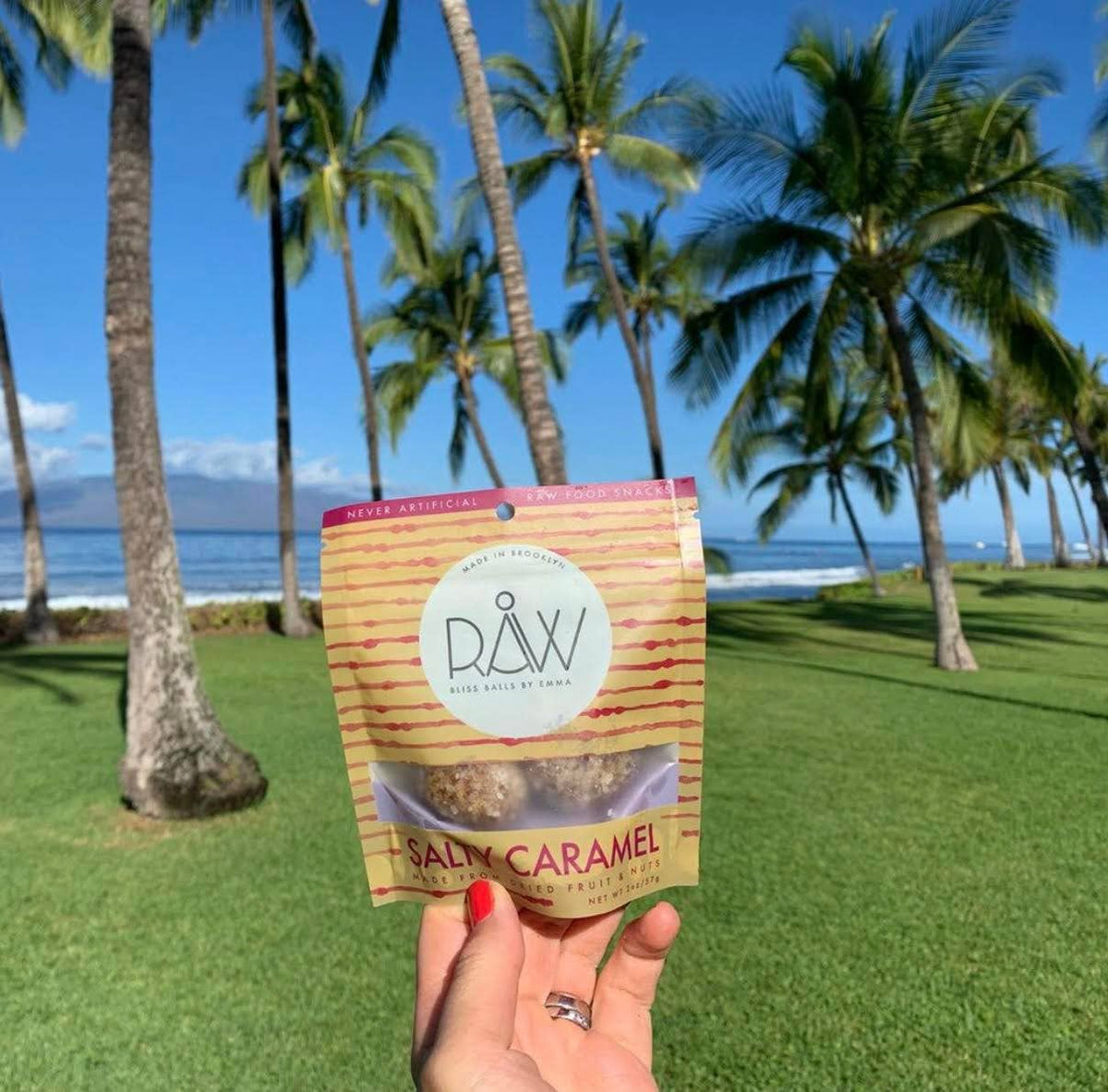 Raw Bliss Balls 86547376082