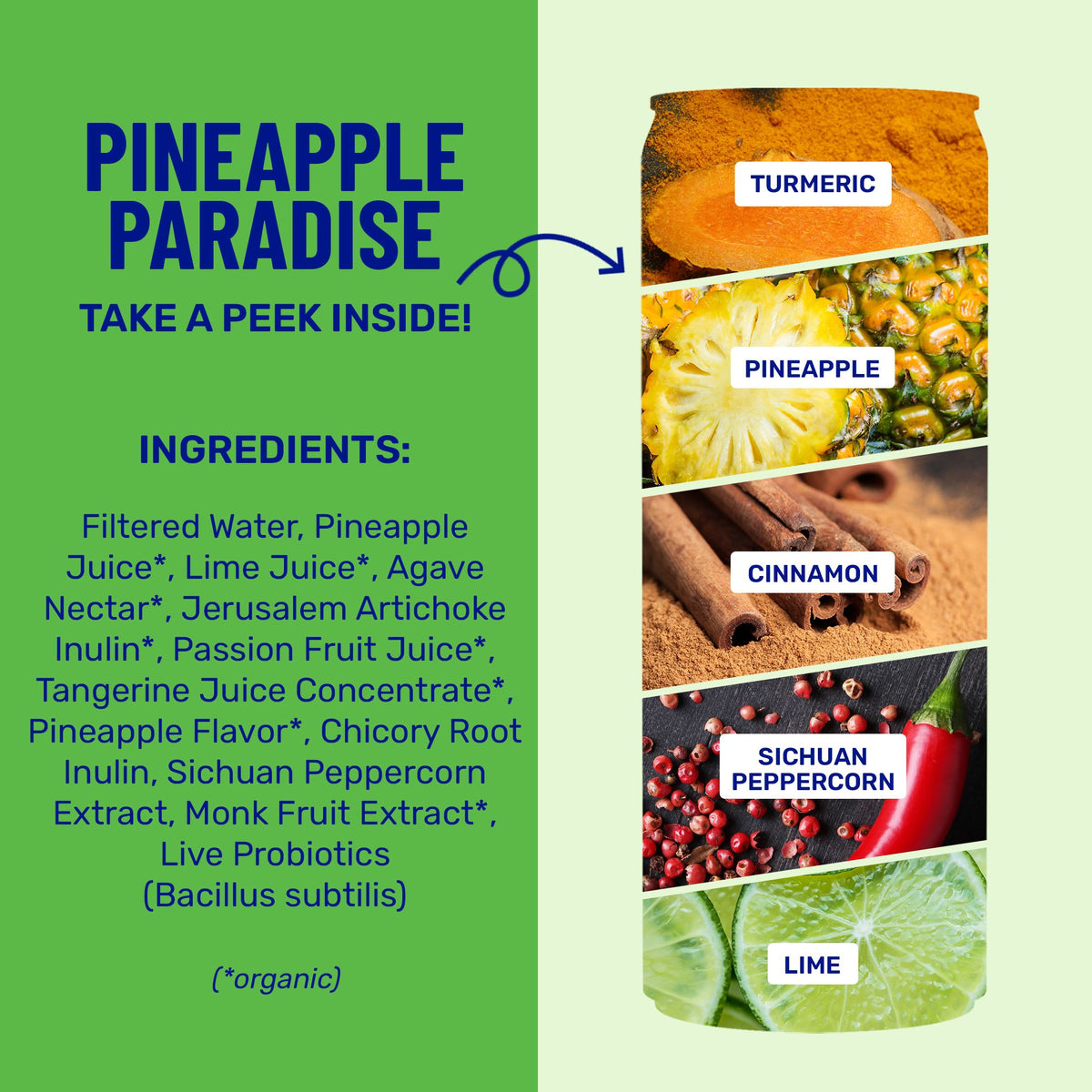 Pineapple Paradise Sparkling Prebiotic + Probiotic Drink PINEAPPLE-PARADISE-1