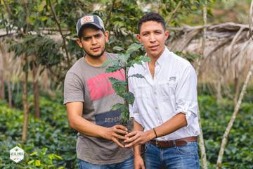 Honduras - Finca El Conejo
