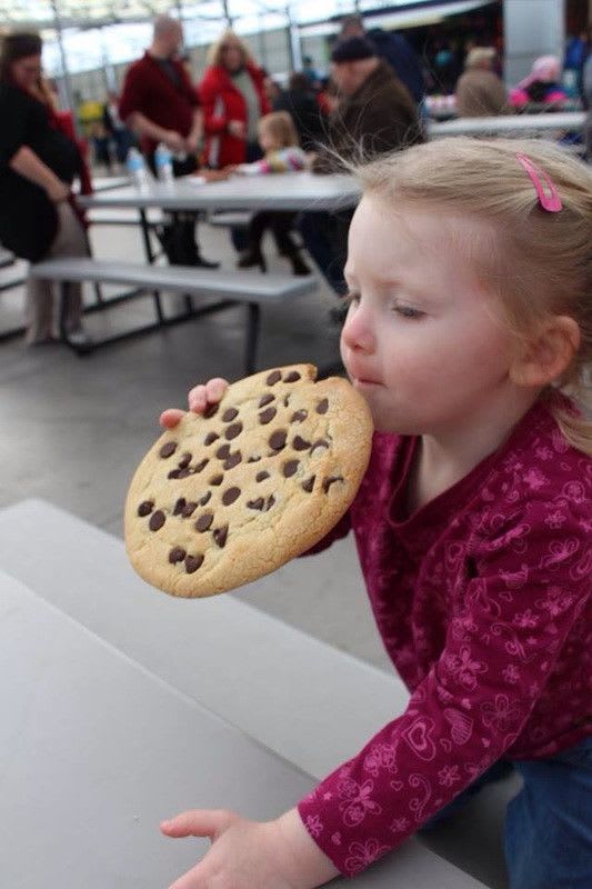 Chocolate Chip Cookie PRFCTCC