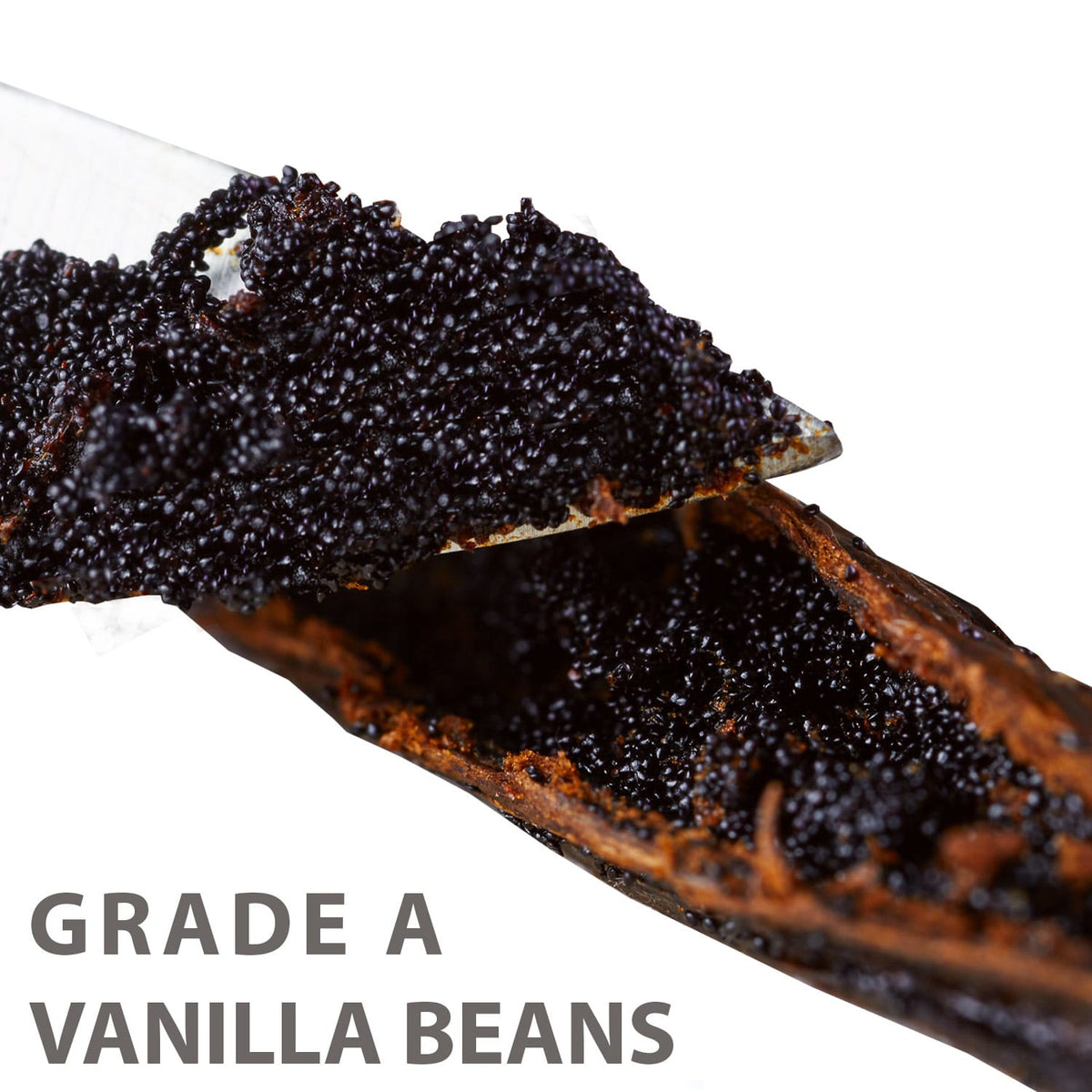 Vanilla Beans (Grade A Gourmet) ecspice3-10