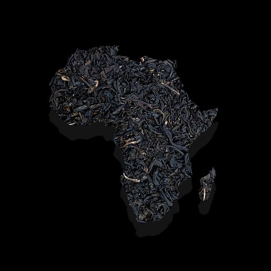 Zanzibrew - Sachet 617270003169