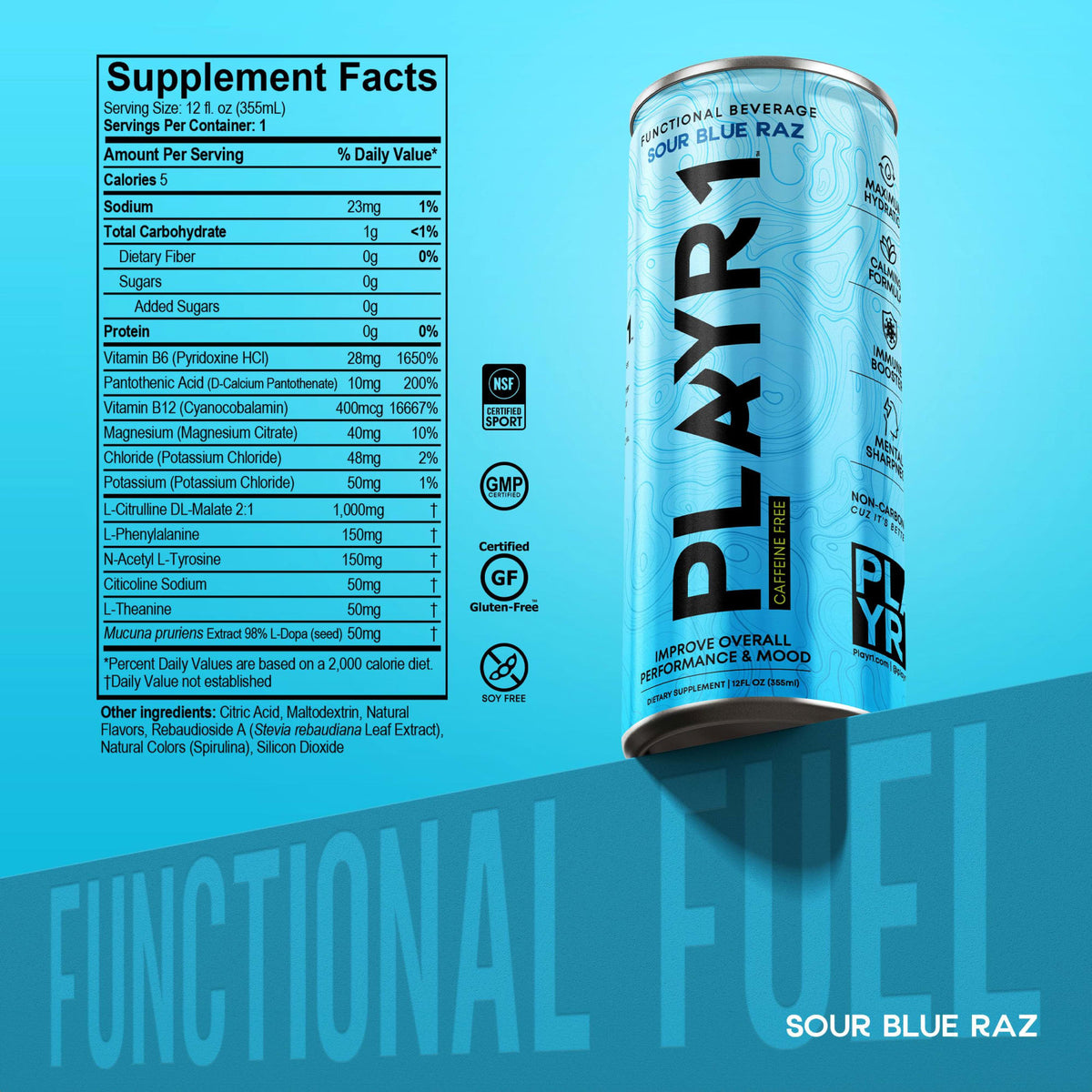 PLAYR1 SBR-NONCAF-12-24