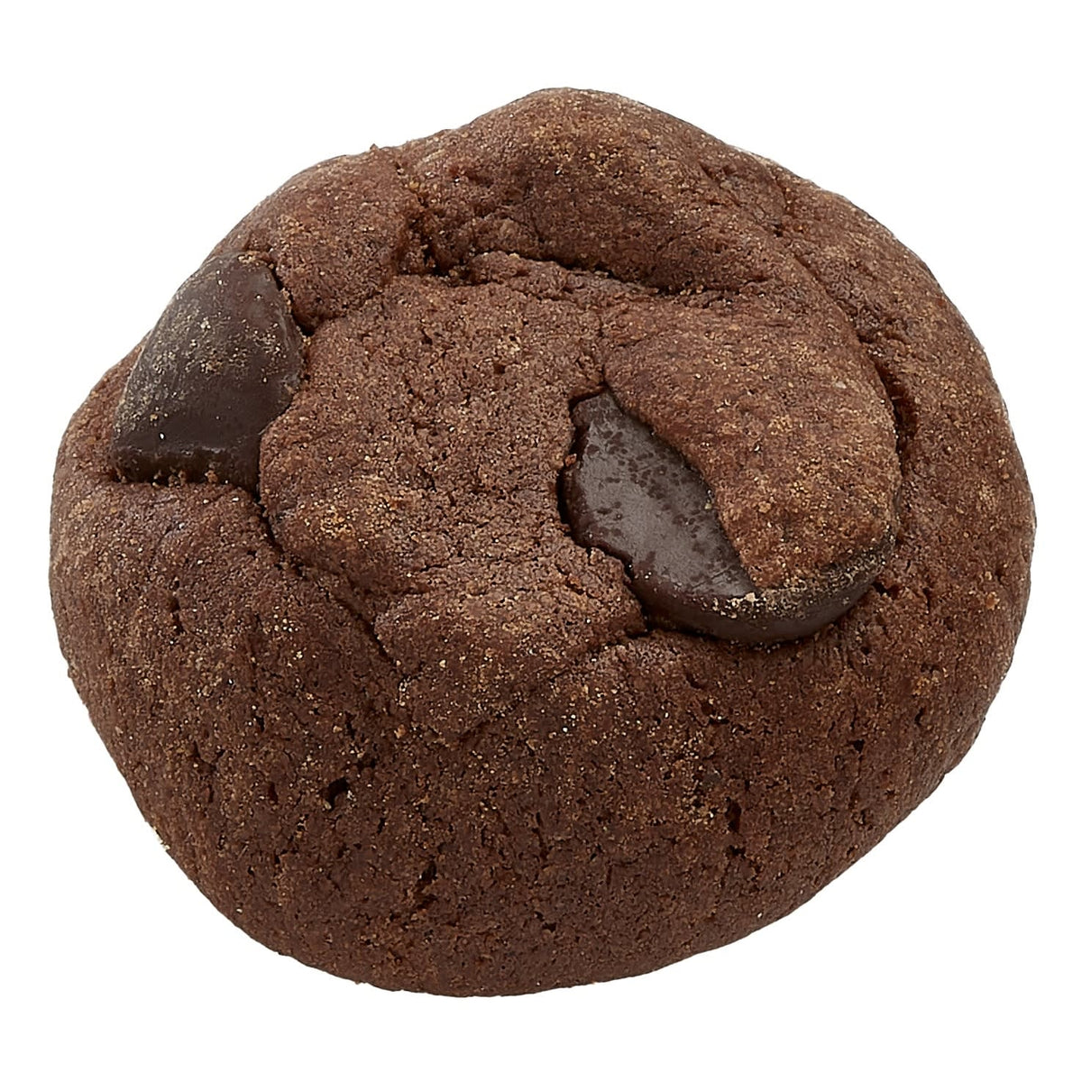 Rule Breaker Bites BITE-BROW-0006