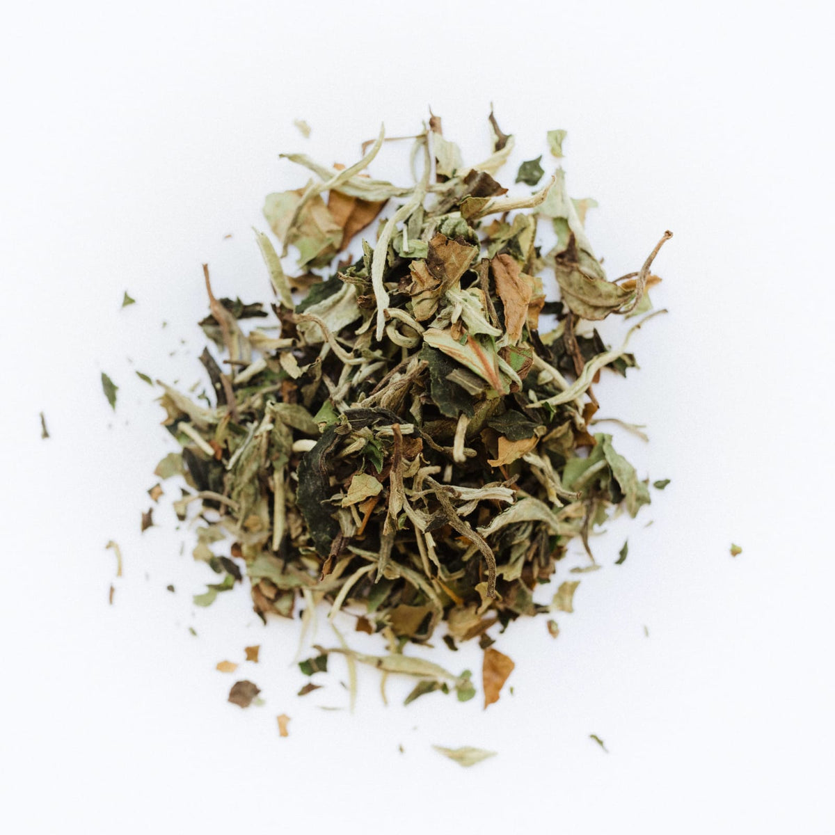 Loose Leaf Tea Company Bulk White Tea - Pai Mu Tan