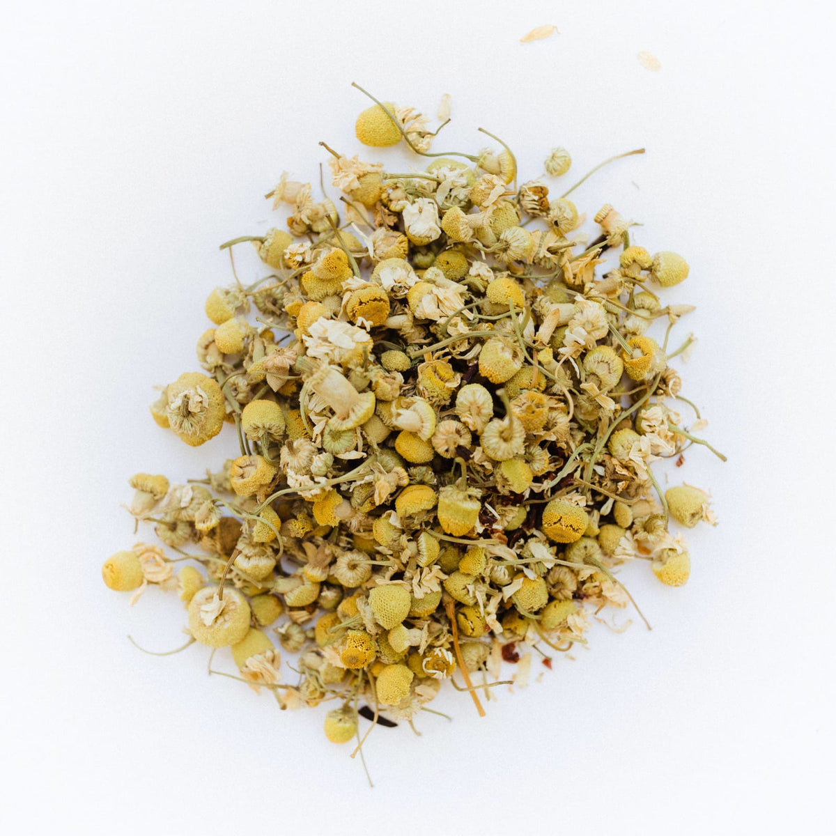 Loose Leaf Tea Company Bulk Herbal Tea - Egyptian Camomile