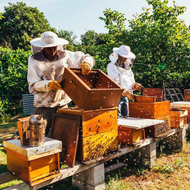 Bee Grateful Farm Caramel 860002837413