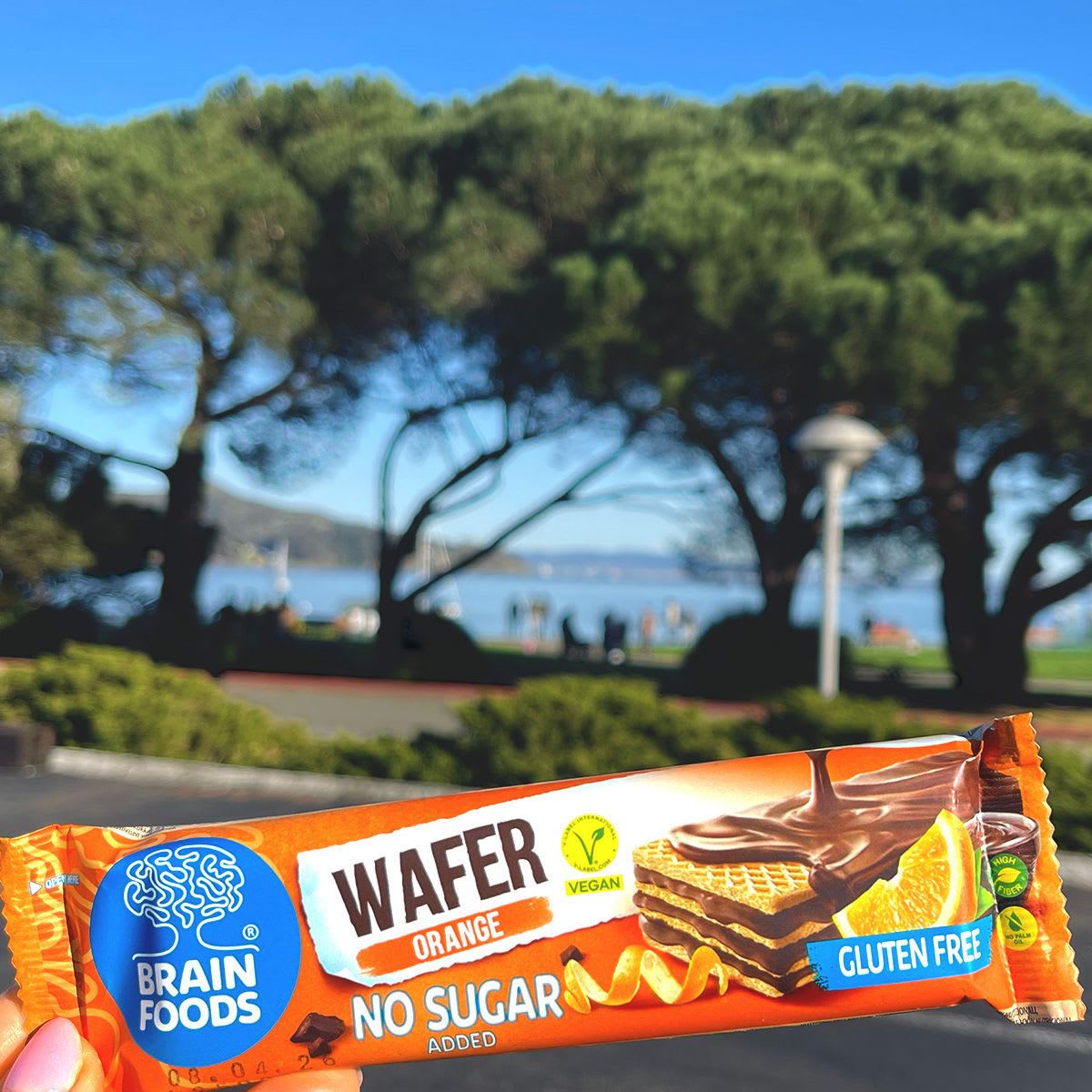 Brain Foods Wafers 13800501316242 144 ct Case