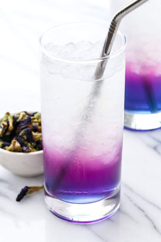 Indigo Dream 850027178004
