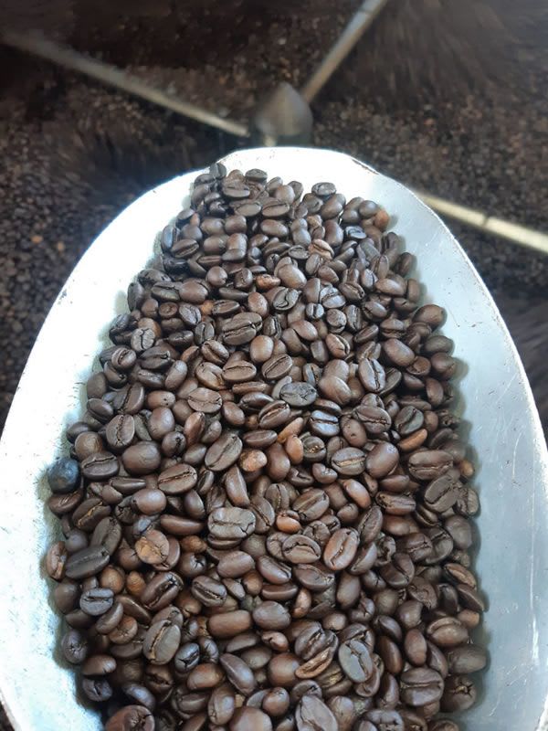 Ecuadorian Roast Coffee