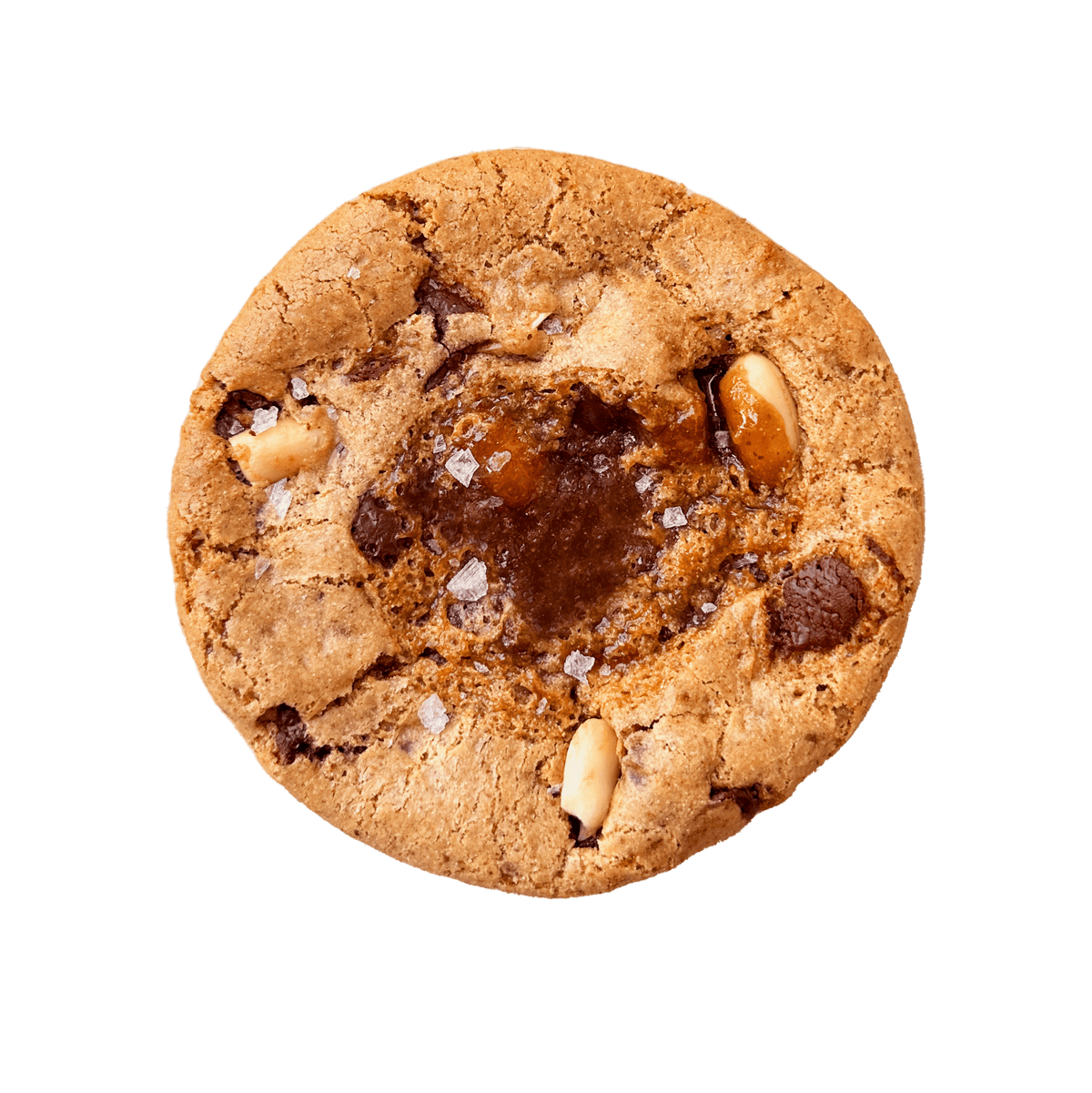 The Candy Bar Cookie NWB009MASTEROF8CASES