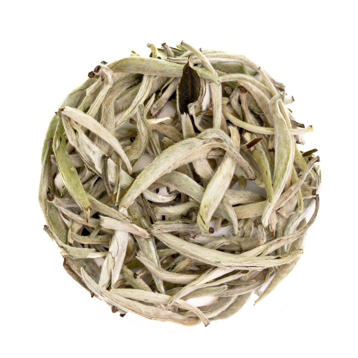 Heavenly Tea Leaves Organic Silver Needle , Bulk Loose Leaf White Tea, 1 lb. HNW323