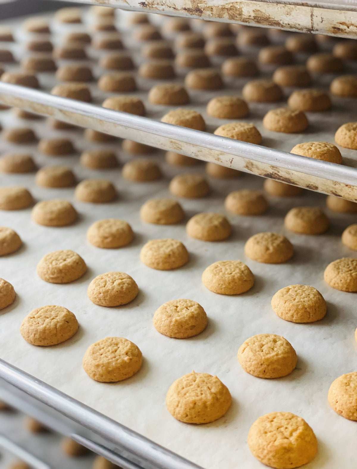 The Bites Company Brown Butter Biscotti Bites 4230