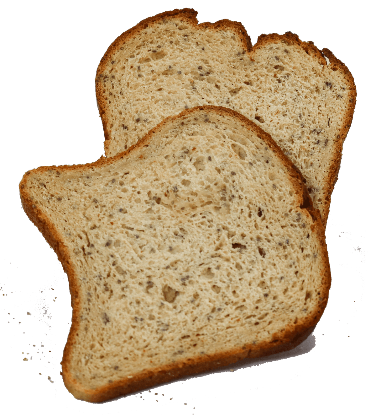 Gluten Free Multigrain Sandwich Bread 2-slice Packs SL203