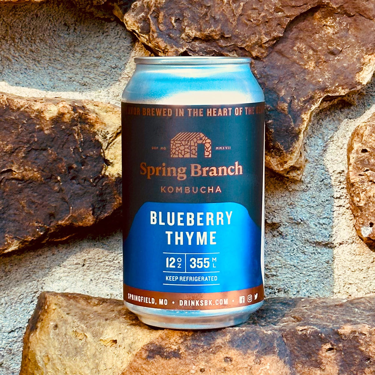 Spring Branch Kombucha BBT-CAN-12-Q24