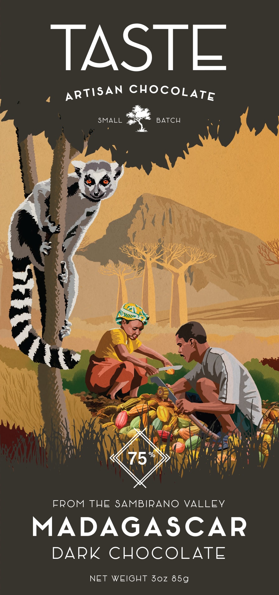 Taste Artisan Chocolate Madagascar 75% Dark Chocolate - Full-Size Bar