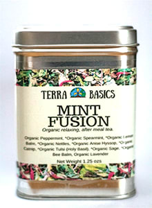 Terra Basics Tea - Mint Fusion