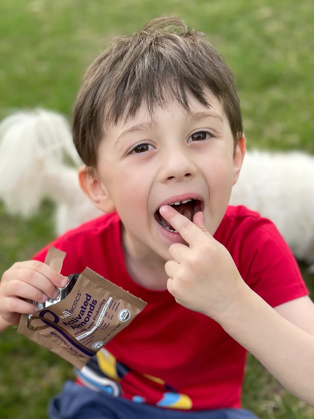 Sunbiotics - Activated Almonds