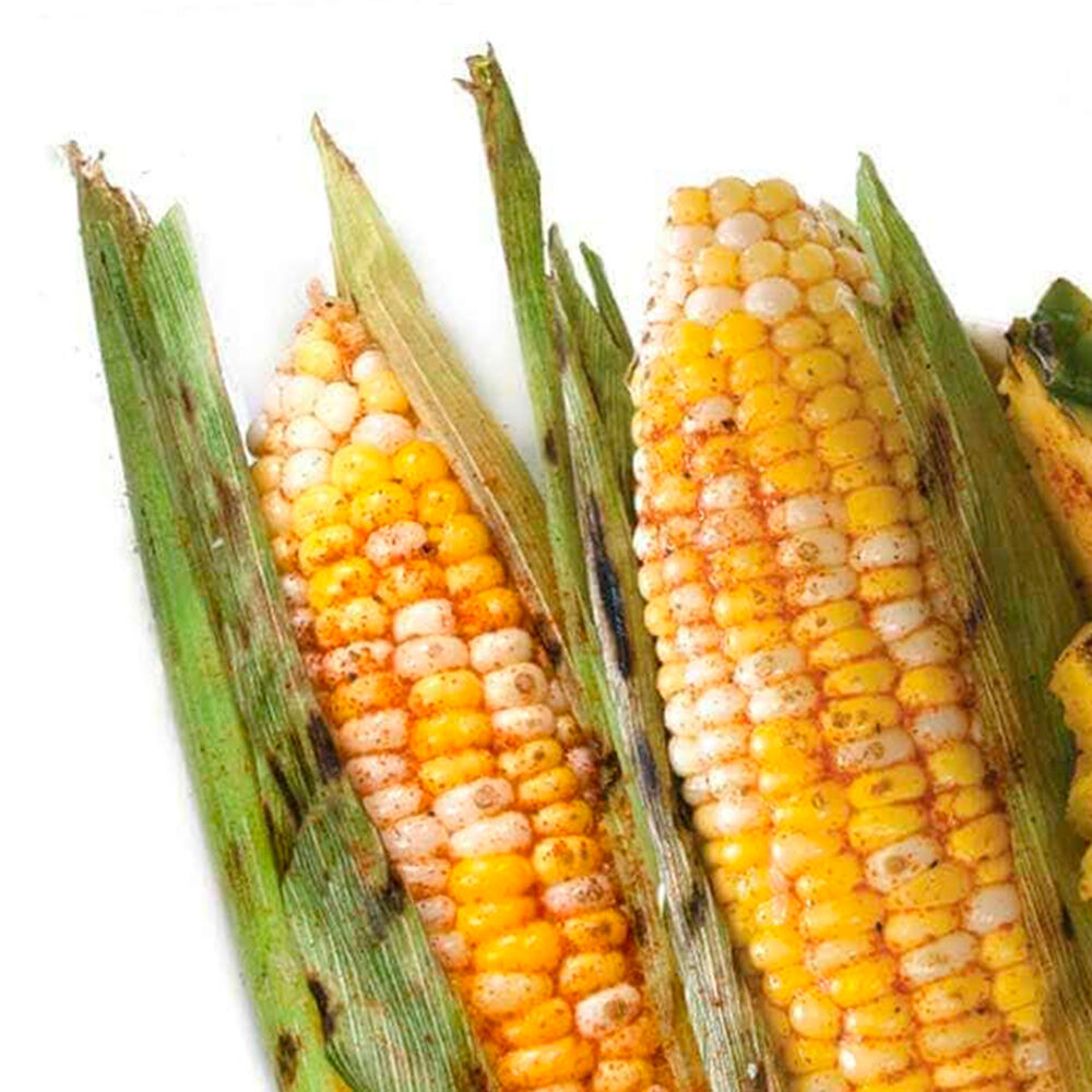 Urban Accents Spicy Chili Lime Corn on the Cob Seasoning Blend — 3.6 oz