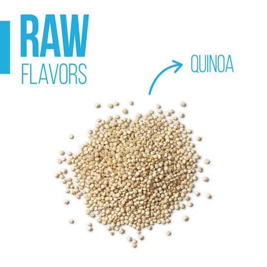 Organic Raw Chocolate Bar - 77% with Quinoa - Raw Collection