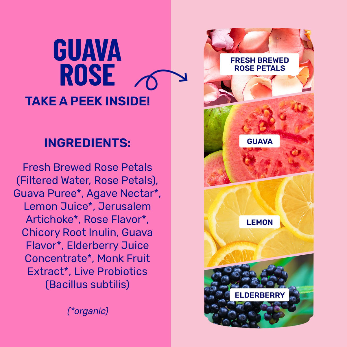Guava Rose Sparkling Prebiotic + Probiotic Drink