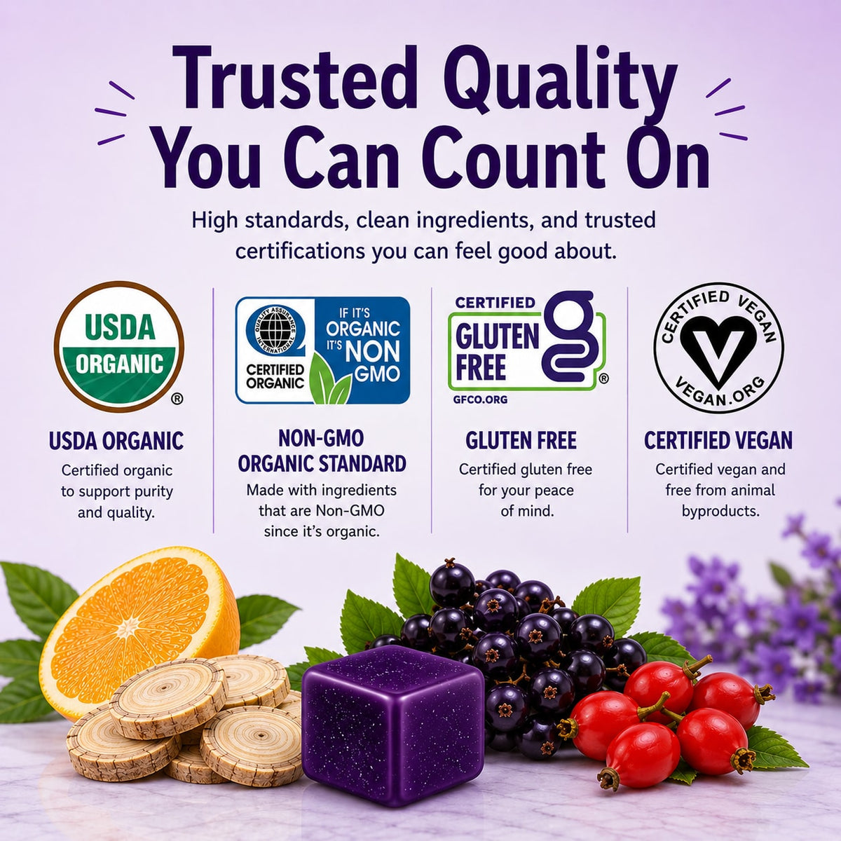 Wellness Organic Botanical Lozenges – Immune and Seasonal Support – Elderberry, Schisandra, Lemon, Rosehips – Gluten-Free, Non-GMO, Vegan* ECSBWS009 - 4