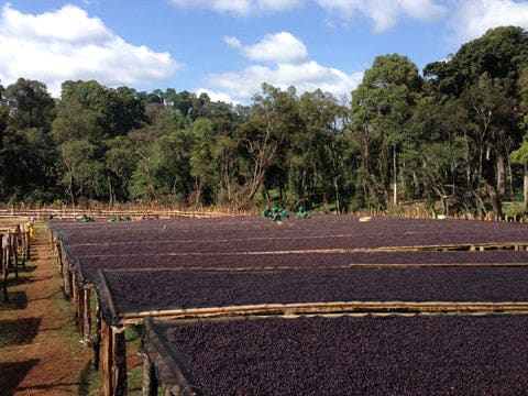 Reserves - Single Origin - Whole Bean 865809000077