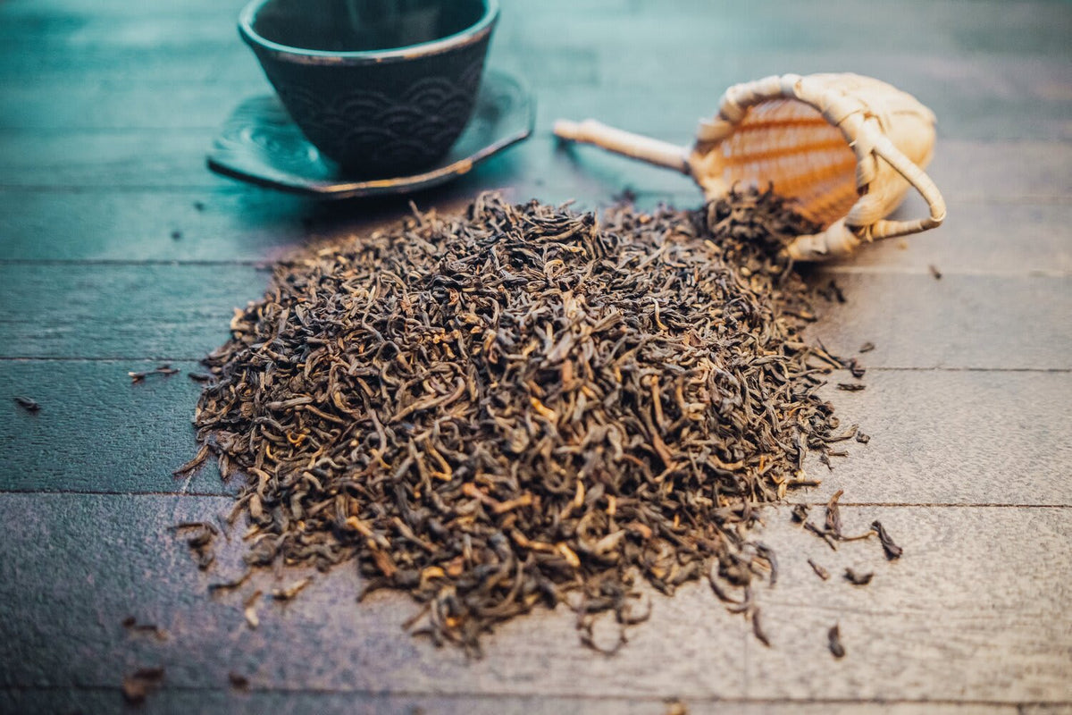 Western Immortal Black Tea - 1 oz, Organic Yunnan Black