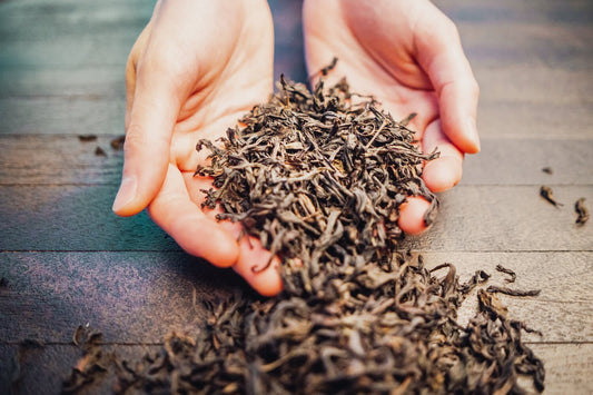 Western Immortal Oolong Tea - 2 oz, Organic Big Red Robe
