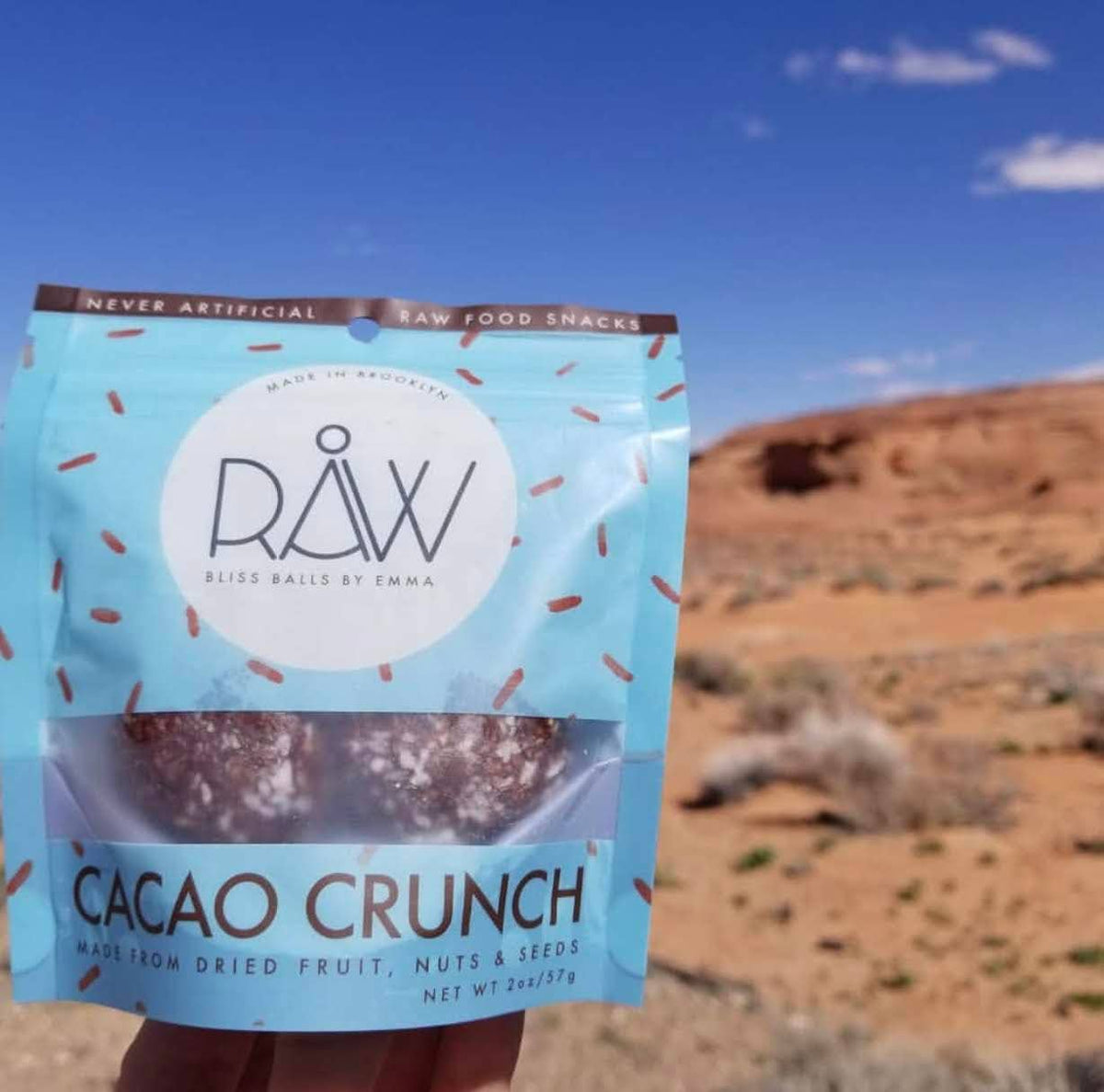 Raw Bliss Balls 645789711923