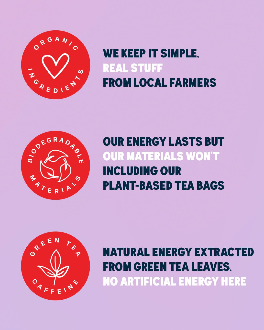 Mushroom Teas Chaga-10