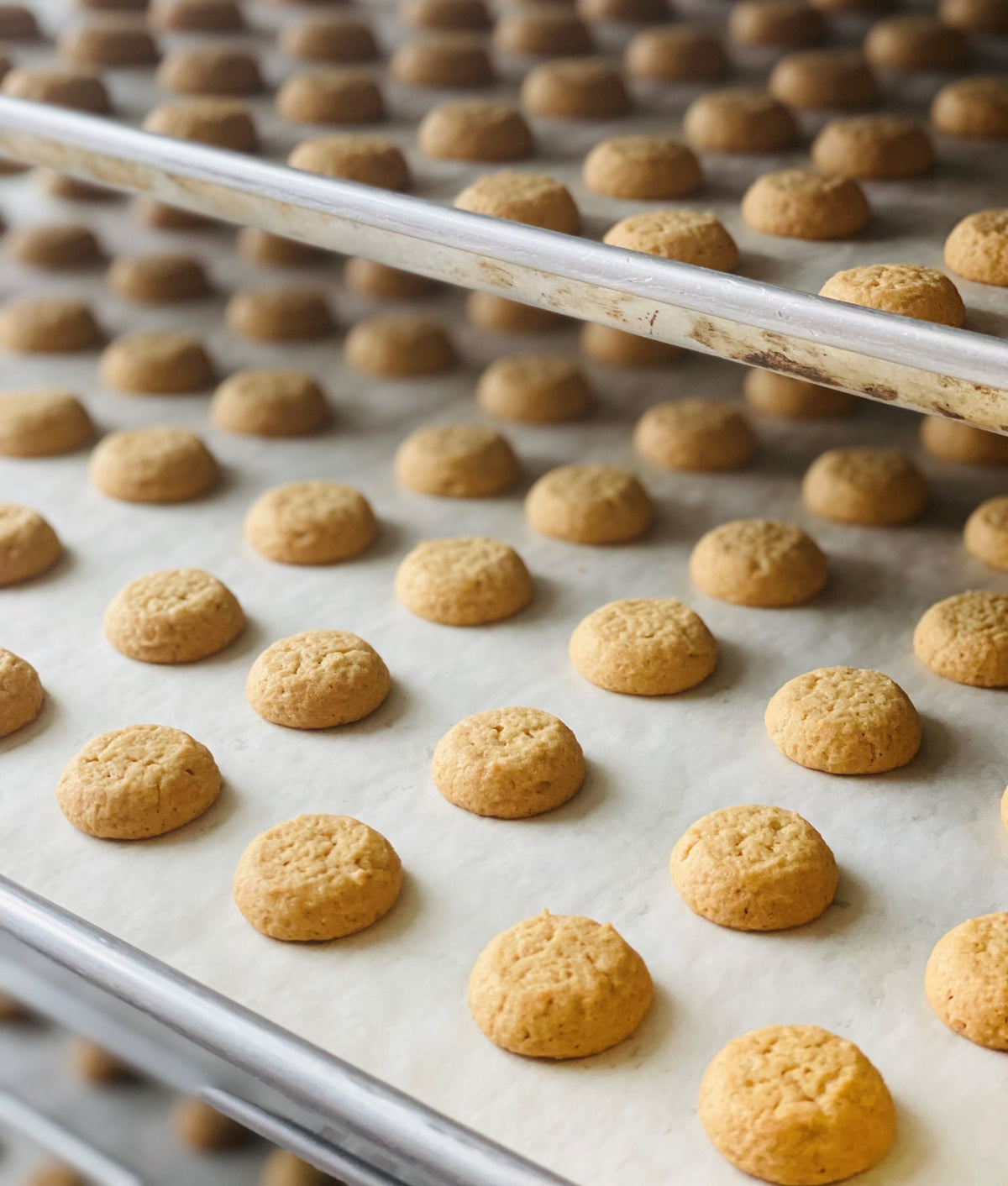 The Bites Company Brown Butter Biscotti Bites 4278