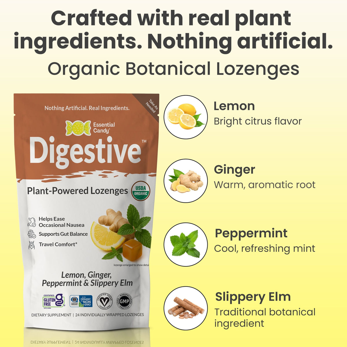 Digestive Organic Botanical Lozenges – Supports Nausea Support, Travel Sickness – Lemon, Ginger, Peppermint, Slippery Elm – Gluten-Free, Non-GMO, Vegan* ECSBD003 - 4