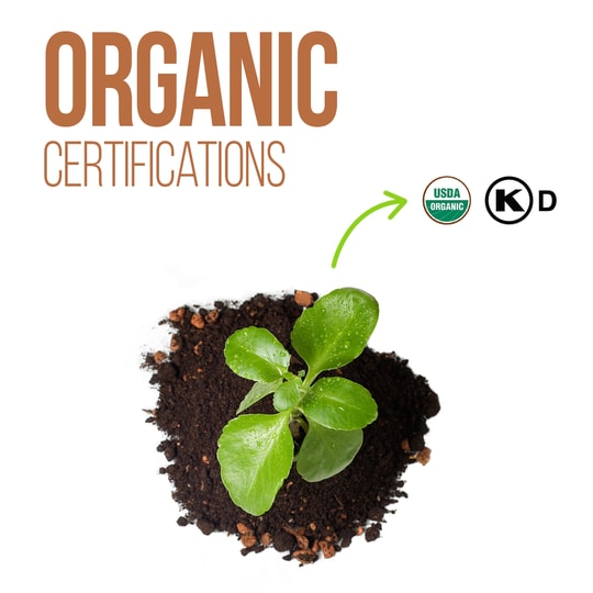 Organic Raw Chocolate Bar - 77% with Quinoa - Raw Collection
