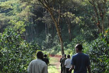 Ethiopia - Two Brothers Natural