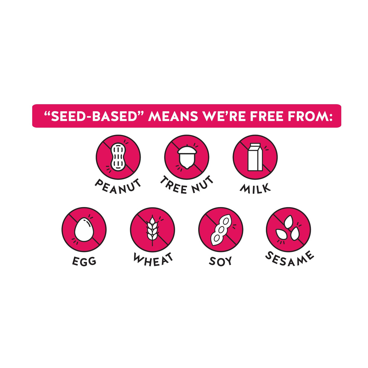 Blake's Seed Based Seeds and Fruit Raspberry Snack Bar
