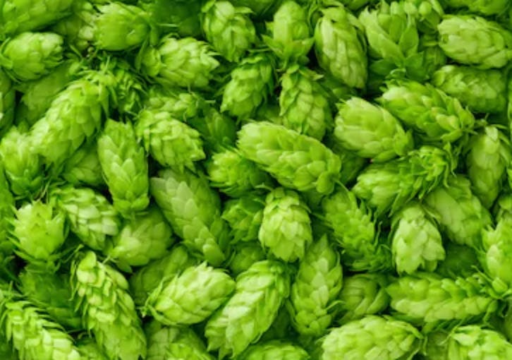 Cascade & Amarillo Hops Elixir