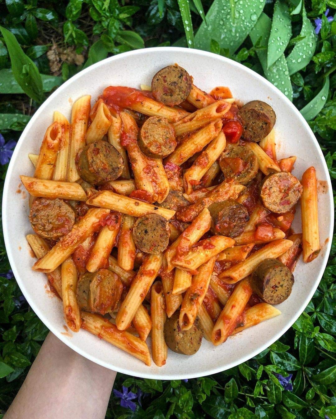 Organic Penne Pasta