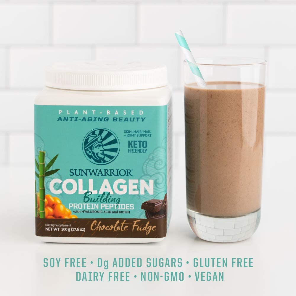 Chocolate Fudge Collagen Building Protein Peptides