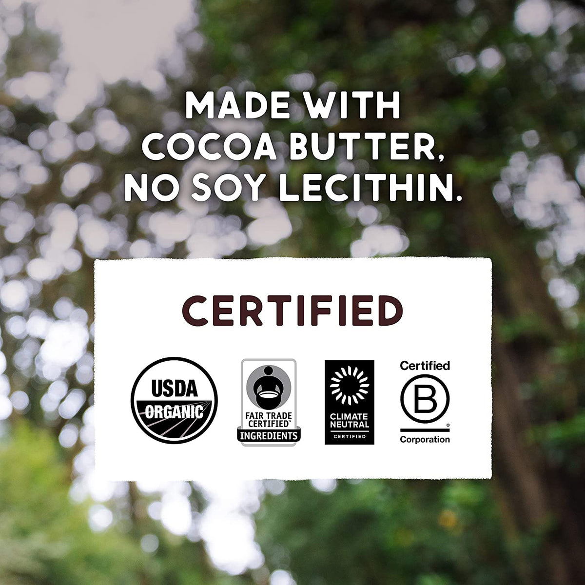 Alter Eco Salted Almonds Organic Dark Chocolate