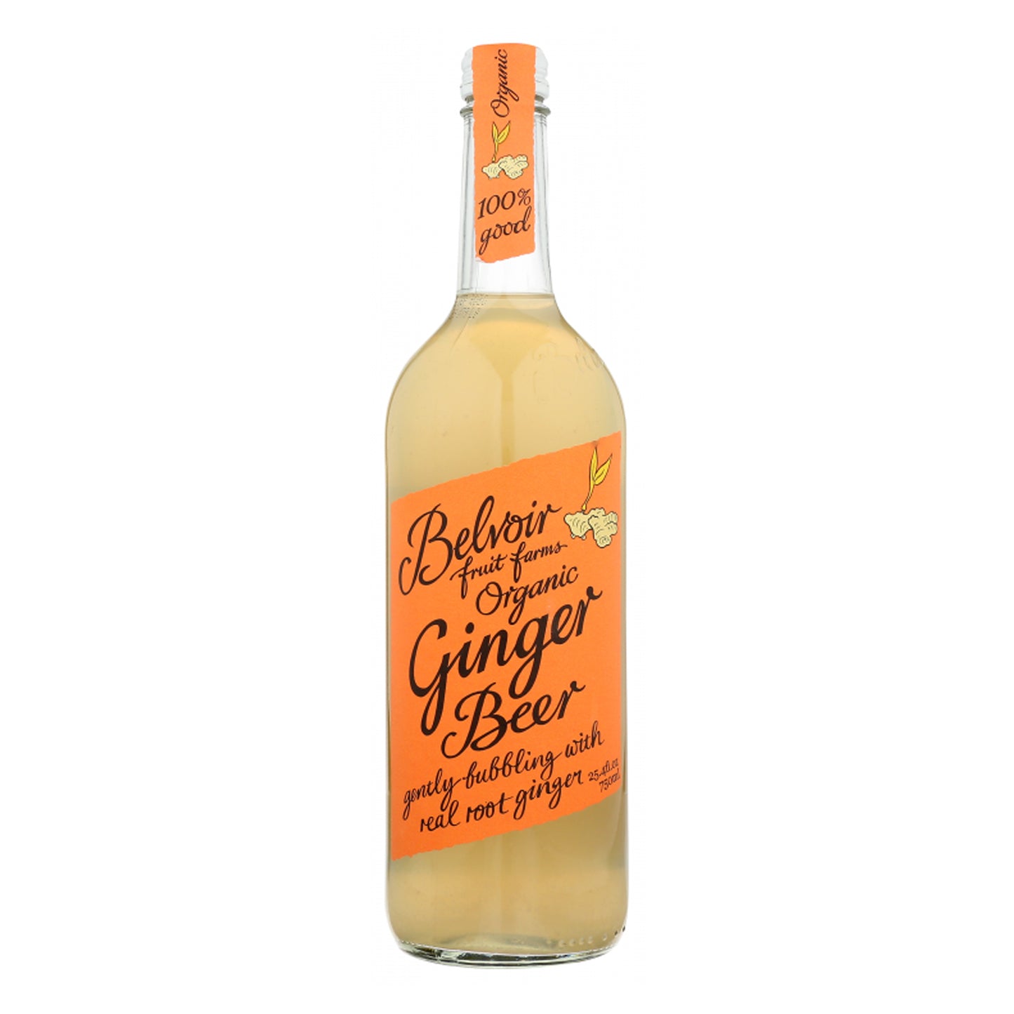Organic Lemonade Ginger Beer