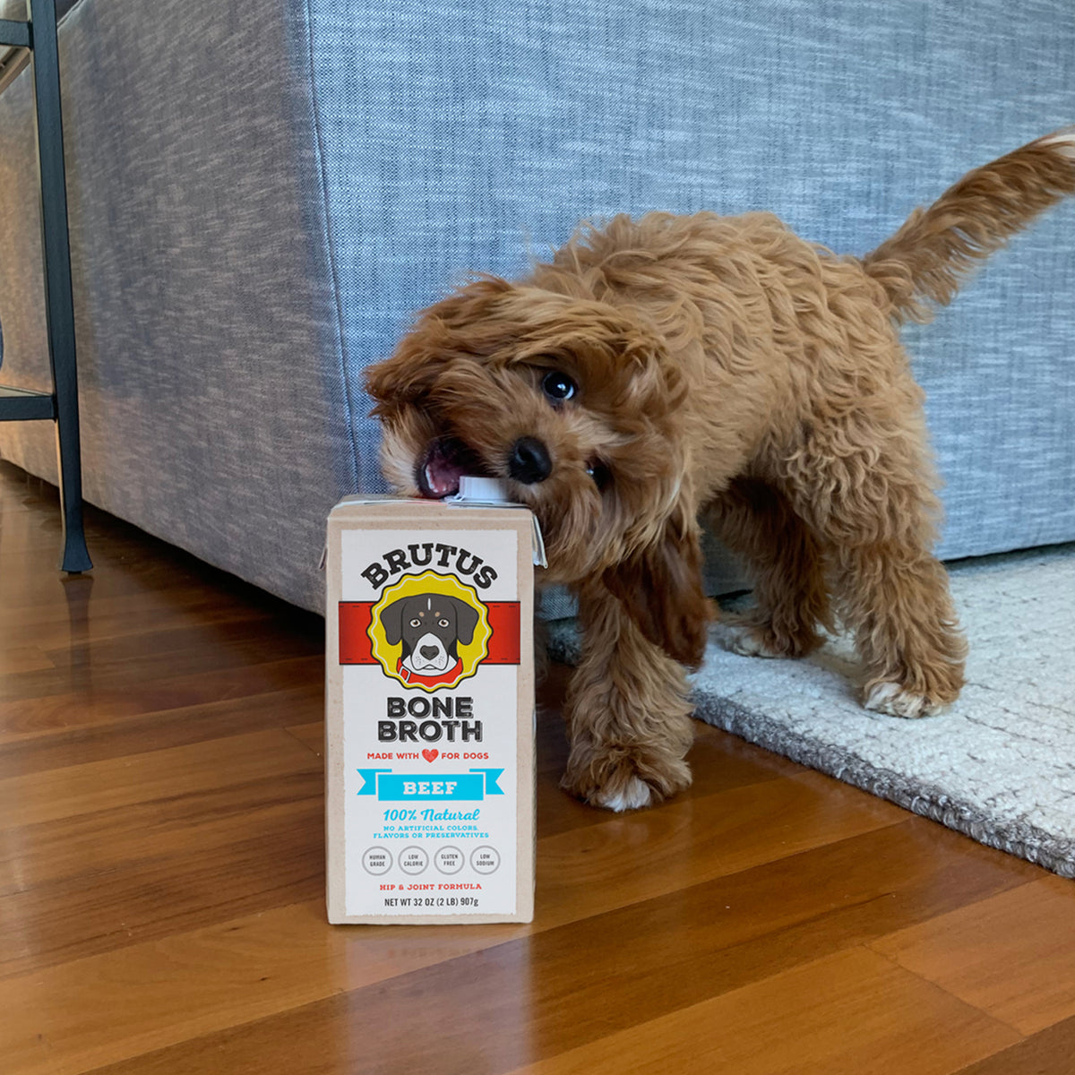 Bone Broth